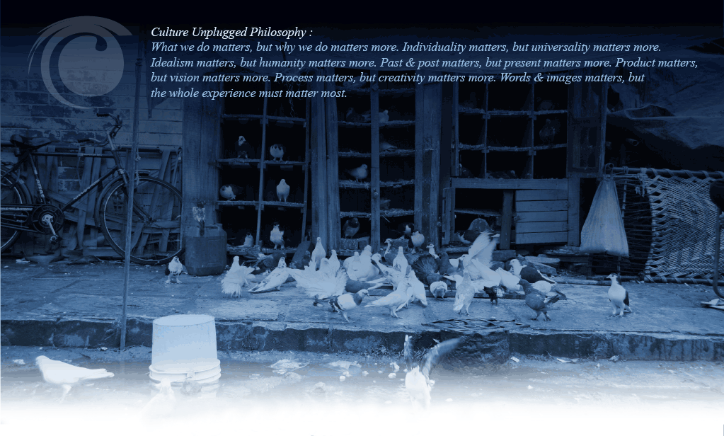 Who is Culture Unplugged :